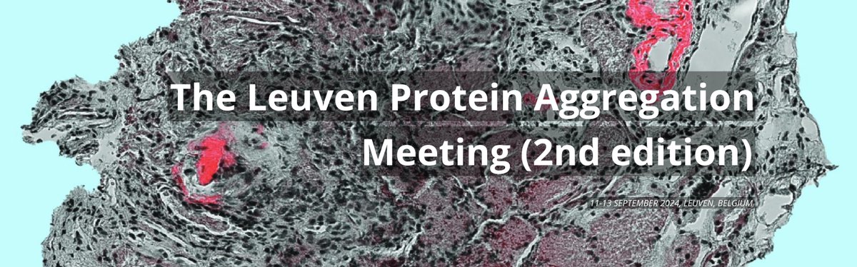 Switch Lab (@vib_switch_lab) on Twitter photo Amazing news! <a href="/ISA_Amyloidosis/">The International Society Of Amyloidosis</a> will support early career scientists attending #Proagg24 by offering four financial awards for the best abstracts! The award can be used to reimburse travel, accommodation & registration. Read more (and submit 😉) here bit.ly/3OpL6C2 Amazing news! <a href="/ISA_Amyloidosis/">The International Society Of Amyloidosis</a> will support early career scientists attending #Proagg24 by offering four financial awards for the best abstracts! The award can be used to reimburse travel, accommodation & registration. Read more (and submit 😉) here bit.ly/3OpL6C2