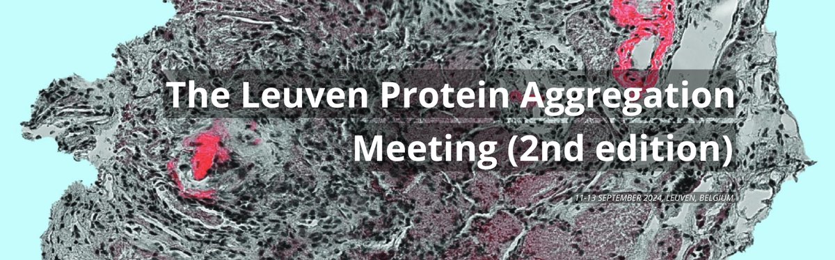 Amazing news! @ISA_Amyloidosis will support early career scientists attending #Proagg24 by offering four financial awards for the best abstracts! The award can be used to reimburse travel, accommodation & registration. Read more (and submit 😉) here bit.ly/3OpL6C2