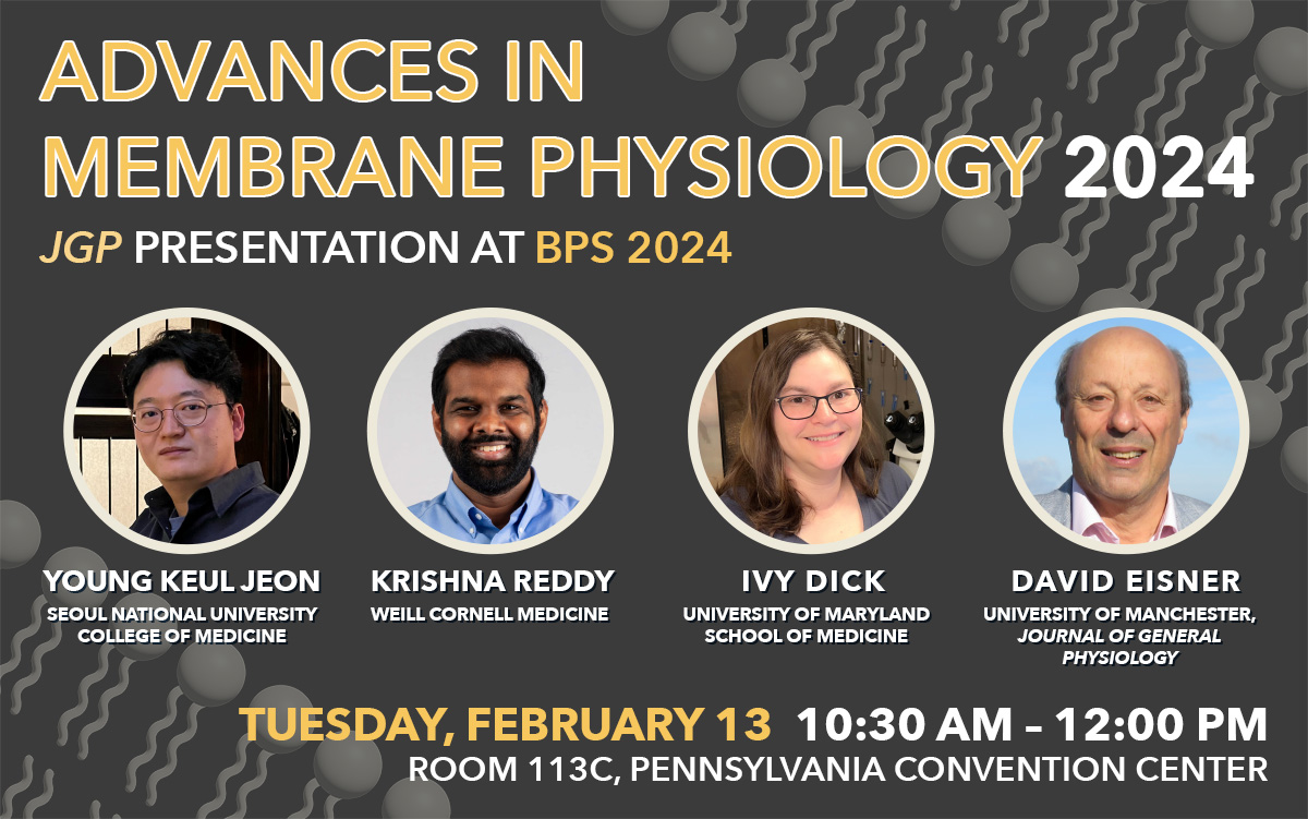 📢 Calling all #BPS2024 attendees! Catch @JGenPhysiol’s “Advances in Membrane Physiology 2024” w/@DavidAEisner, Young Keul Jeon, Krishna Reddy (@firewhenreddy), Ivy Dick (@IvysLab) Feb 13, 10:30AM - Room 113C. #MembranePhysiology hubs.la/Q02j2Myf0