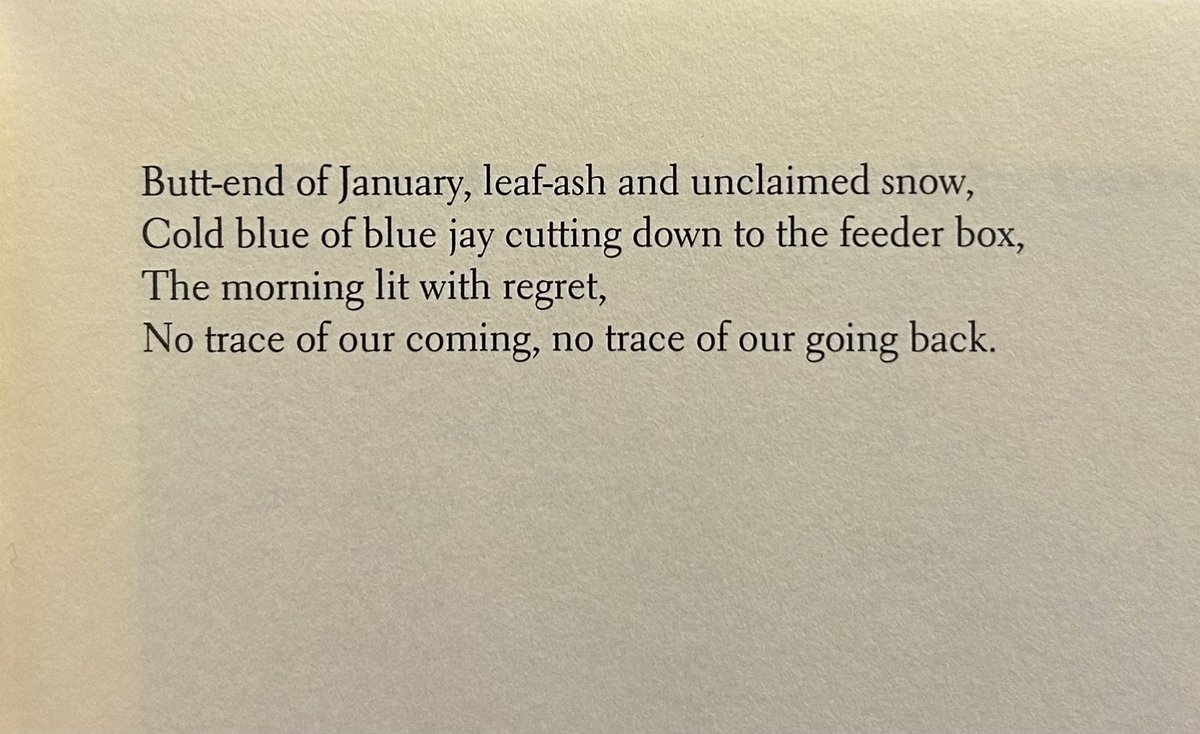 Tom Snarsky tweet media