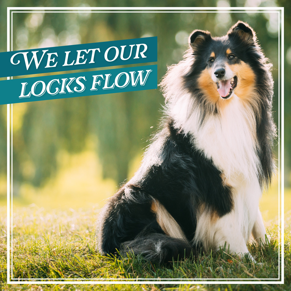 FLGoodLife's tweet image. Still combing for that perfect home? I can help you lock in a low interest rate while you shop, for as long as 90 days. Reach out today!