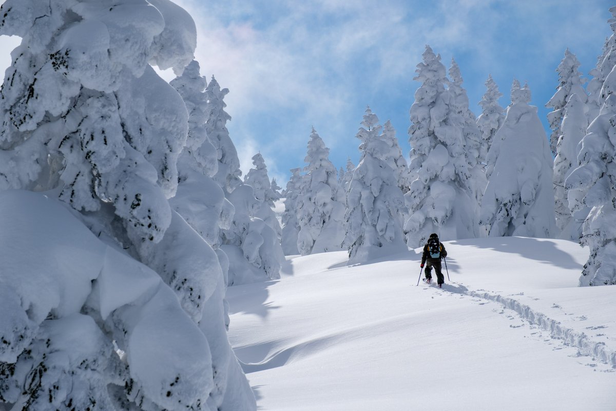 guillaumelahure's tweet photo. Tohoku, l'autre Japon du ski, loin des classiques...
Récit en 6 articles d'un chouette road-trip en février 2023 @fujifilmfrance @AomoriPref @aomorispring @getokogen @aniski001 @Zaoonsentourism https://t.co/emXrOKIygO