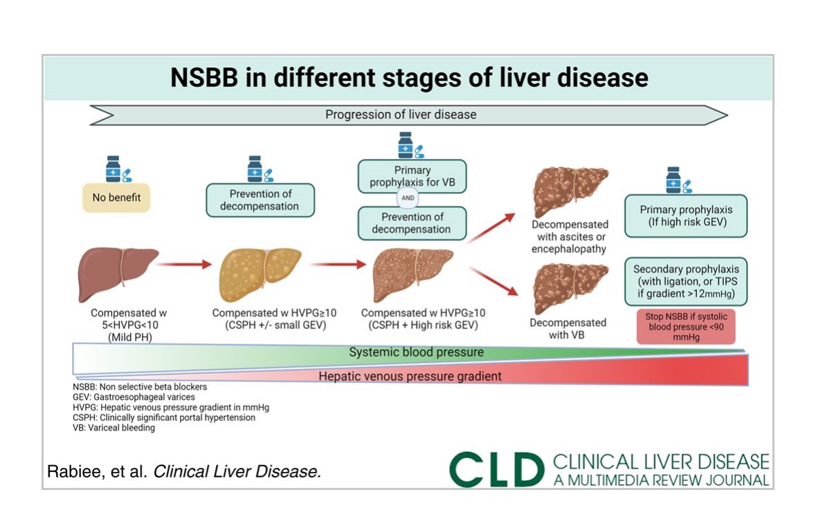 Such fun project to do with my sister! Thanks @CLD_Learning for the invitation! Keep beta blocking and carry on! @jturnesv @JuanAbraldes @BrettEFortuneMD @AASLDtweets #livertwitter journals.lww.com/cld/fulltext/2…