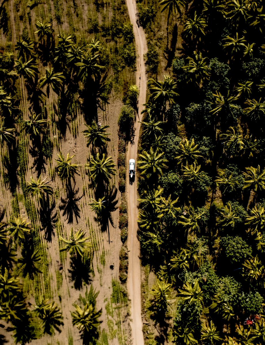 Amber Torrealba tweet media