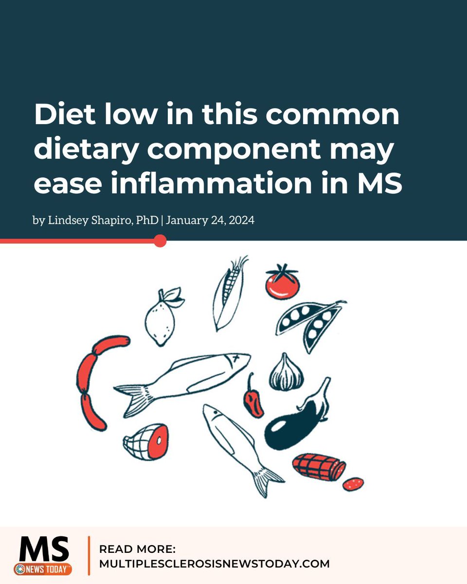 The trial’s findings build upon another recent study showing the dietary component worsened disease severity. Learn more: buff.ly/42lKhjM 

#ms #multiplesclerosis #msresearch #msnews #msdiet