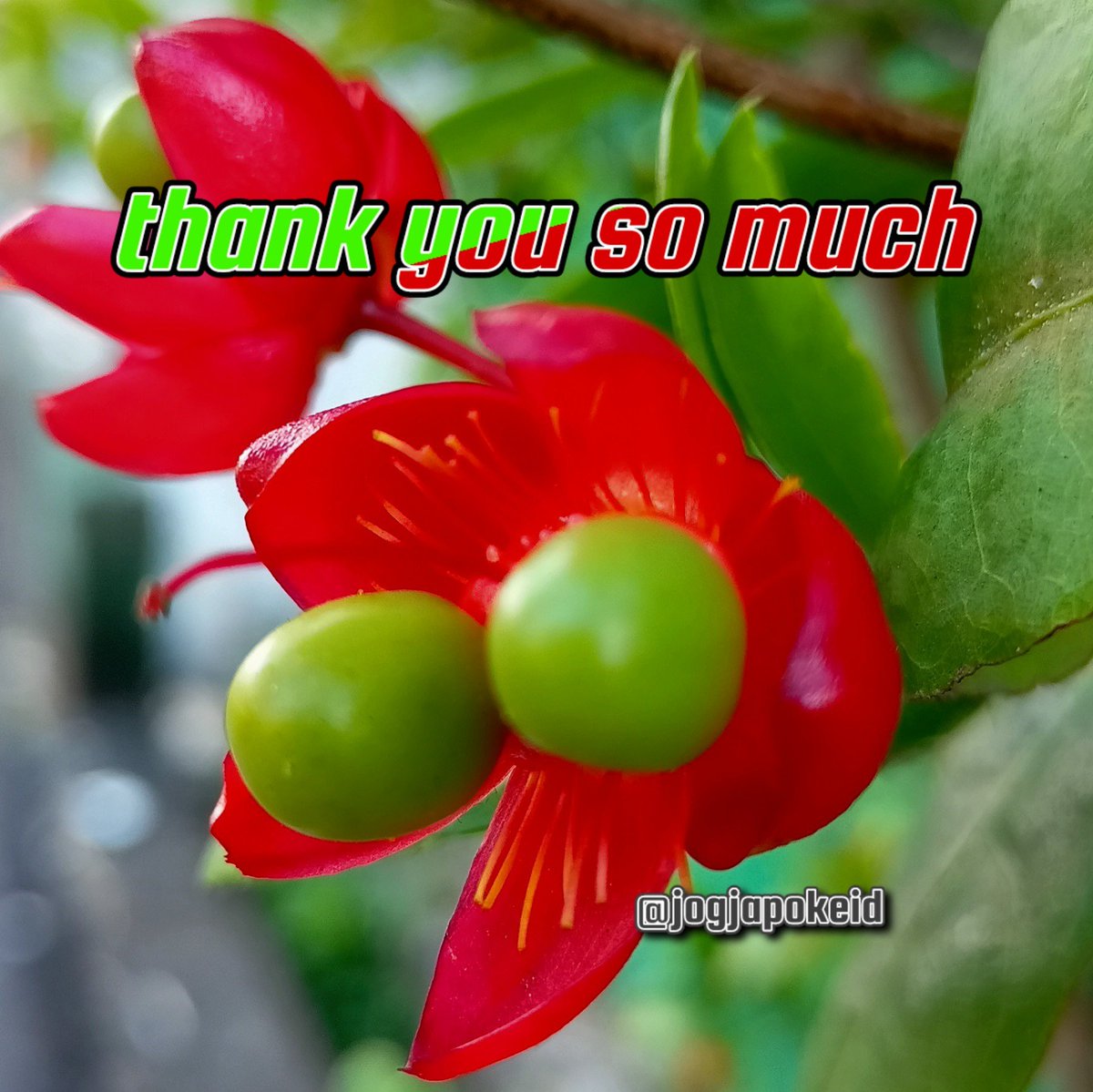 #TwFsClub
#F4F_Nusantara

thank you so much
⏩➽ <a href="/TwFsClub/">Founder of ☀️ #TwFsClub</a>

<a href="/Mone_fb/">🅰️ 🇩🇪 🔥 𝐒𝐔𝐒𝐈 🇩🇪 🅰️ Follow Back💯💯💯</a>
<a href="/jogjapokeid/">jogjapokeid</a>
<a href="/TwFsClub/">Founder of ☀️ #TwFsClub</a>
<a href="/k60h60/">Khaled..S..A</a>
<a href="/teamdinamicas/">Cami</a>
<a href="/tripletsfan19/">Rick</a>
<a href="/UrreaAguas/">Raquel Uribe arias</a>
<a href="/NadiasonSebit/">Nadiason°</a>
<a href="/nadjwahand37371/">Nadjwahan 🇮🇩</a>
<a href="/Nafertiti6/">Nafertiti</a>
@nagabonar7145
<a href="/NainggolanRaja6/">Nainggolan Raja</a>
<a href="/NajibIqbalHuss2/">Najib Iqbal Hussainنجيب اقبال حسين</a>
<a href="/NAliagu/">ñduka aliagu</a>
<a href="/NamAnh6789hd/">Nam Trần</a>
<a href="/Nanenes3/">Nanenes</a>
<a href="/Nanggut61/">qiunco2761 Reaborn</a>