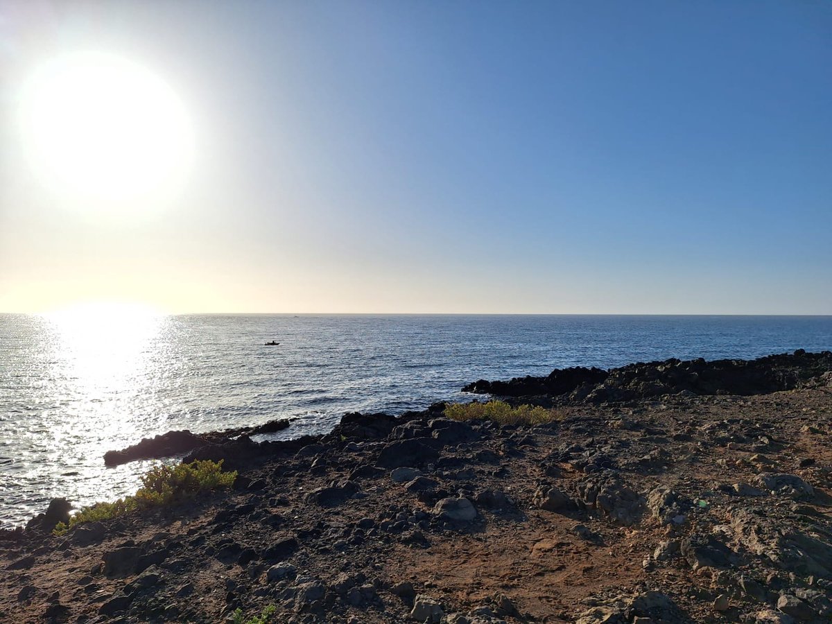 QUIMA_ULPGC's tweet image. Today we spent the day monitoring the Abades beach. @dive_zeus thanks for all the diving support. @ulpgcresearch @fccmar_ulpgc @IOCAG1