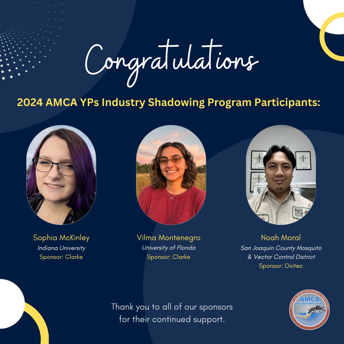 AMCA Young Pros 🦟 tweet media