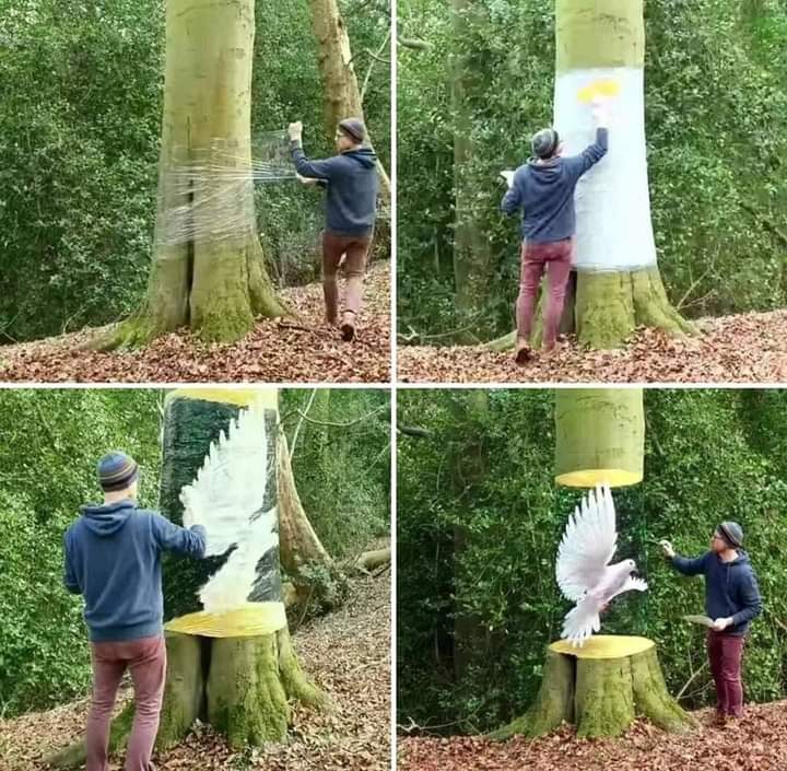 Impresionante. Pintura en 3D por el artista Howard Lee, sin dañar el tronco del árbol. #Cuba #CDRCuba #SomosDelBarrio