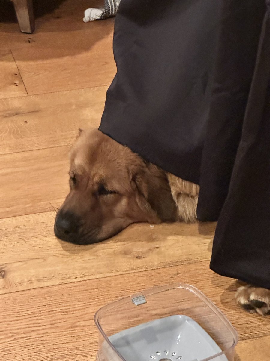 hasanabi tweet media