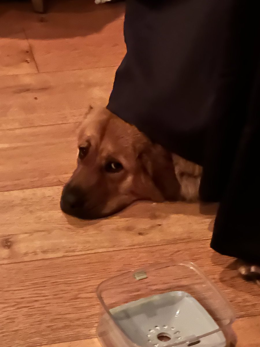 hasanabi tweet media