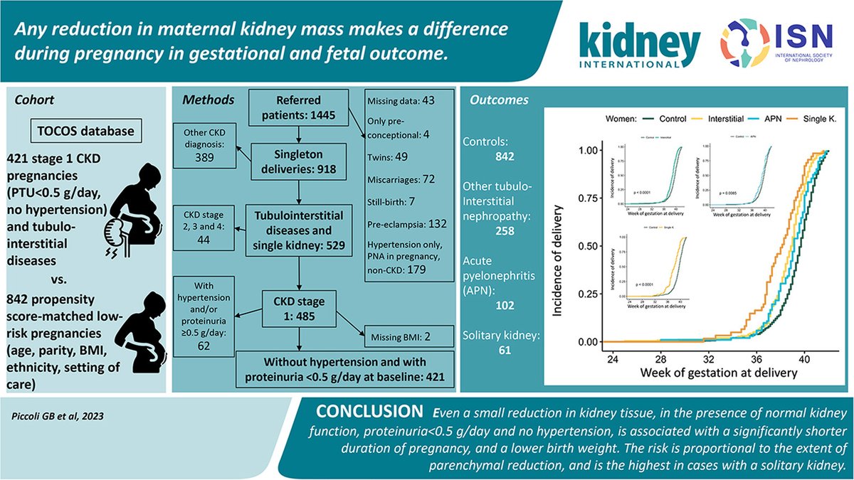 Any reduction in maternal #kidneymass makes a difference during #pregnancy in #gestational and #fetaloutcome.

doi.org/10.1016/j.kint…

@CHLeMans @unito @univca @messina_of
#OpenAccess #CKD #tubulointerstitial #acutepyelonephritis #MaternalOutcomes #solitarykidney