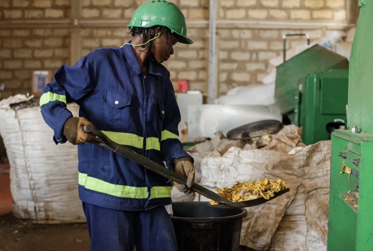 CEFLEX - a circular economy for flexible packaging (@missioncircular) on Twitter photo US$100M waste reduction bond for plastic and carbon credits from <a href="/WorldBank/">World Bank</a>
CEFLEX's own Dana Mosora <a href="/Miracol58/">Dana Mosora</a> leading 🇬🇭 pilot.
The projects aim to ↘️plastic pollution ⬆️ local air quality ↘️reduce health impacts⬆️employment opportunities
packaginginsights.com/news/world-ban… US$100M waste reduction bond for plastic and carbon credits from <a href="/WorldBank/">World Bank</a>
CEFLEX's own Dana Mosora <a href="/Miracol58/">Dana Mosora</a> leading 🇬🇭 pilot.
The projects aim to ↘️plastic pollution ⬆️ local air quality ↘️reduce health impacts⬆️employment opportunities
packaginginsights.com/news/world-ban…