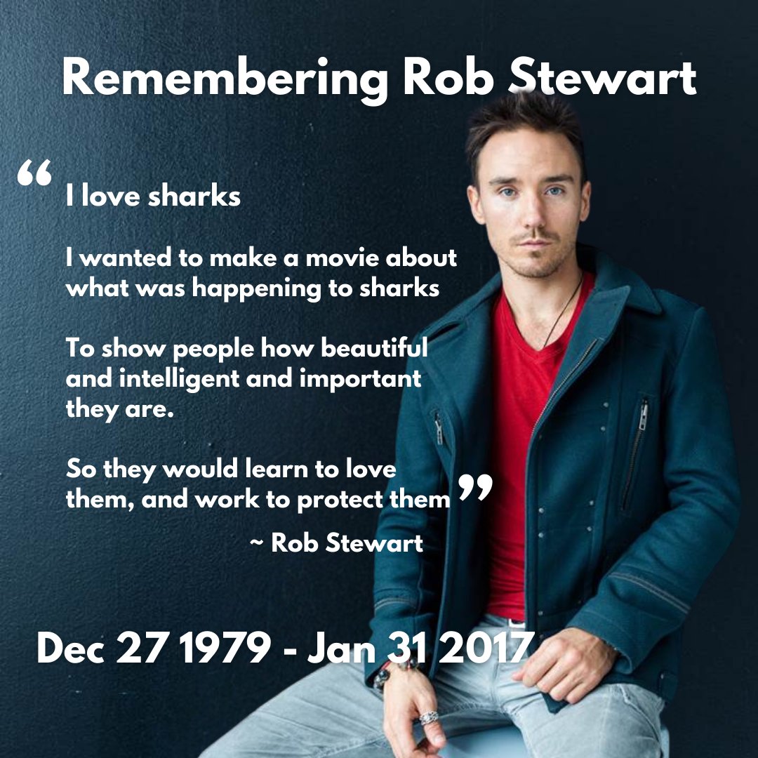 Remembering Rob Stewart Dec 1979 – Jan 31 2017 for dedicating his life to saving sharks and oceans. Activist/filmmaker behind Sharkwater, Revolution, Sharkwater Extinction. Watch free on #primevideo/sharkwater and joinwaterbear.com/Sharkwater #sharkwaterextinction #robstewart