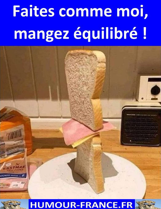 text alternatif