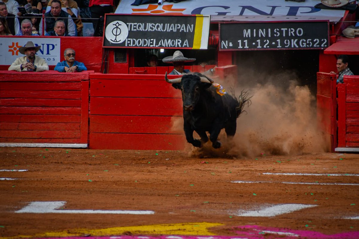 RuidoEnLaRed's tweet image. 🔴 #ÚLTIMAHORA I ¡Golpe para los taurinos!

¡Suspenden otra vez las corridas de toros en Plaza México!

Otorgan suspensión provisional a nuevo amparo; deberán suspenderse los espectáculos taurinos de inmediato, de acuerdo con Reforma.

LA TORTURA NO ES CULTURA
📷 @ObturadorMX_