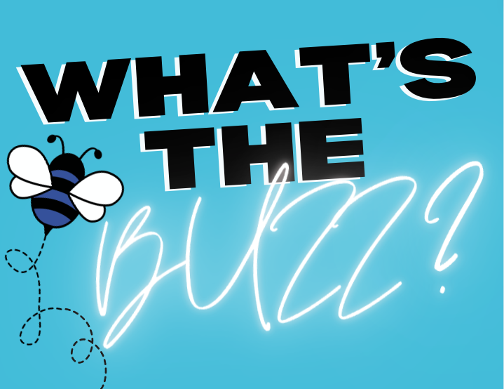 Bayside Village tweet media