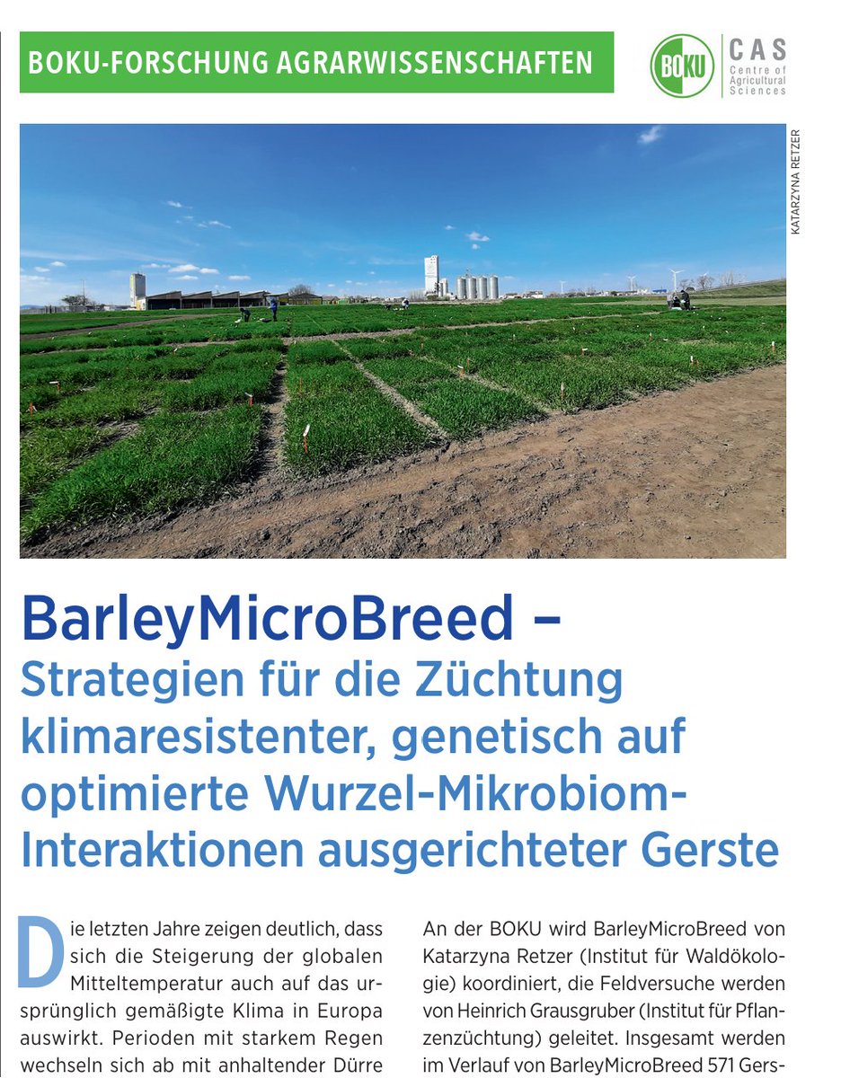boku.ac.at/fileadmin/data… thank you for highlighting our efforts to understand the complex interaction of #barley #roots under drought with beneficial microbiome communities @BreedMicro we are happy to contribute with innovative #rootphenotyping approaches @BOKUvienna @BokuEcology