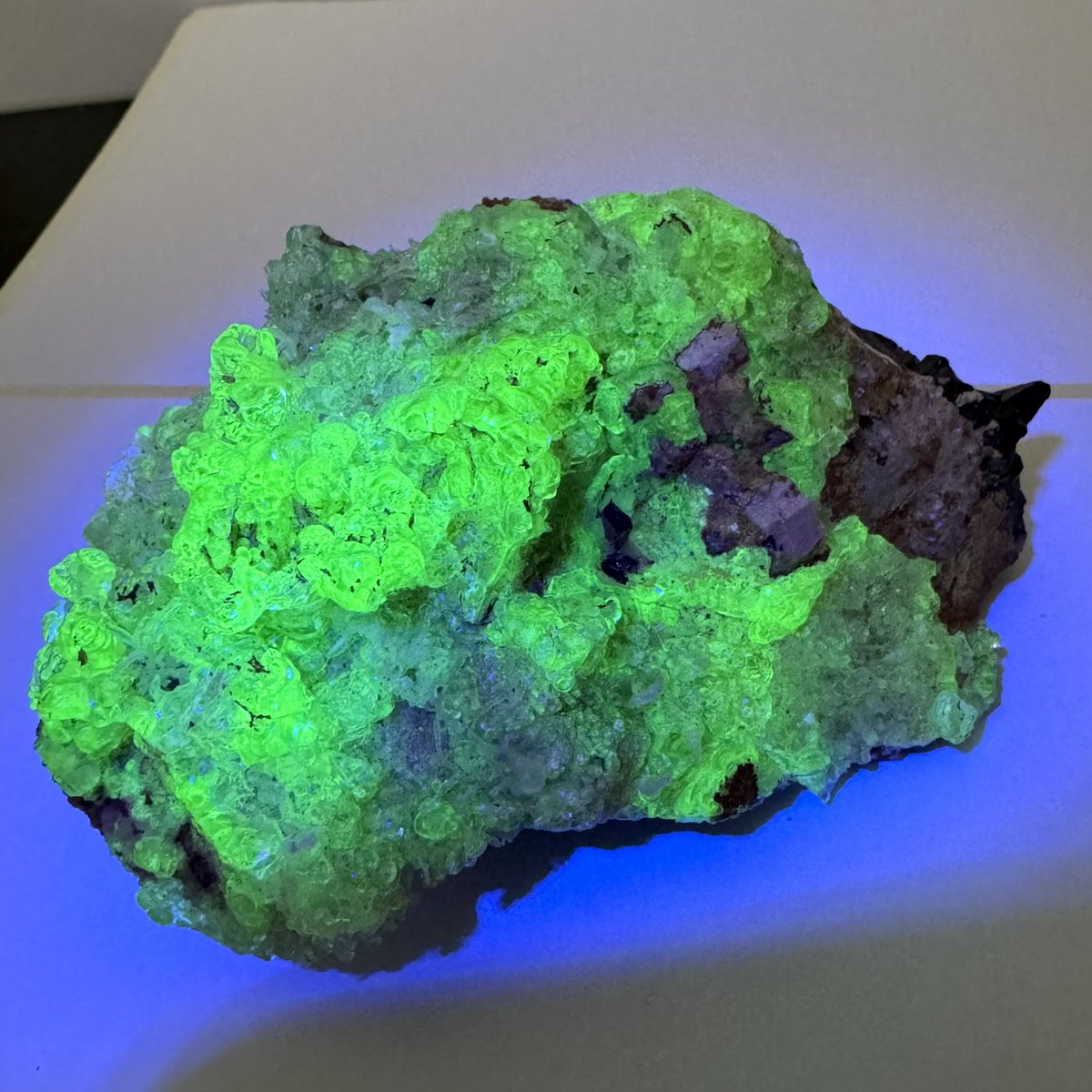 exoticcrystals's tweet photo. ⚜️Hyalite Opal from Namibia when exposed to direct UV light can display spectacular fluorescence⚜️ #hyaliteopal #opal #Namibia https://t.co/uMEgcpjqUv