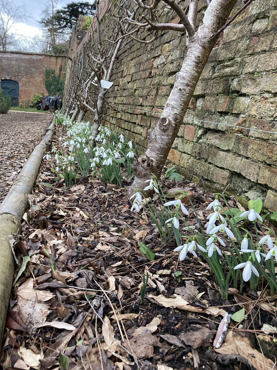 BlaiseGarden (@blaisegarden) on Twitter photo <a href="/BlaiseGarden/">BlaiseGarden</a> Spring-ing back to life! Still open Wednesdays and Saturdays, 10-2pm. Next to <a href="/BlaiseMuseum/">Blaise Museum</a> and <a href="/TheBlaiseInn/">The Blaise Inn</a>, at the other end of <a href="/blaisebristol/">Blaise Castle</a> Estate from <a href="/blaise_plants/">Blaise Plant Nursery</a> . Come and say hello? <a href="/BlaiseGarden/">BlaiseGarden</a> Spring-ing back to life! Still open Wednesdays and Saturdays, 10-2pm. Next to <a href="/BlaiseMuseum/">Blaise Museum</a> and <a href="/TheBlaiseInn/">The Blaise Inn</a>, at the other end of <a href="/blaisebristol/">Blaise Castle</a> Estate from <a href="/blaise_plants/">Blaise Plant Nursery</a> . Come and say hello?
