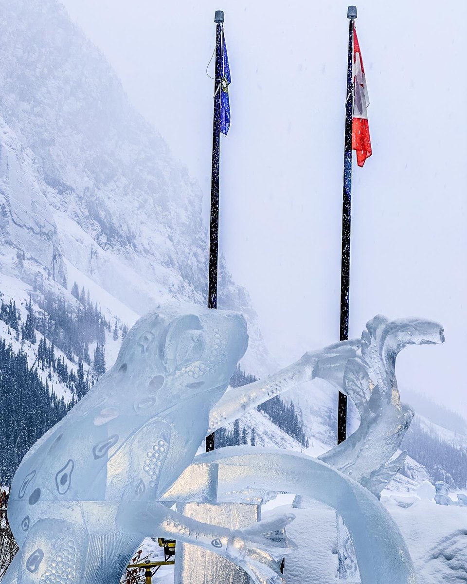 Conjuring ice magic in Lake Louise: Moments of Bliss in Banff NP. Set in the spectacular surroundings of Lake Louise, the Ice Magic Festival is a world-class ice carving event. We’ve witnessed blocks of ice metamorphose into intricate masterpieces right before our eyes.