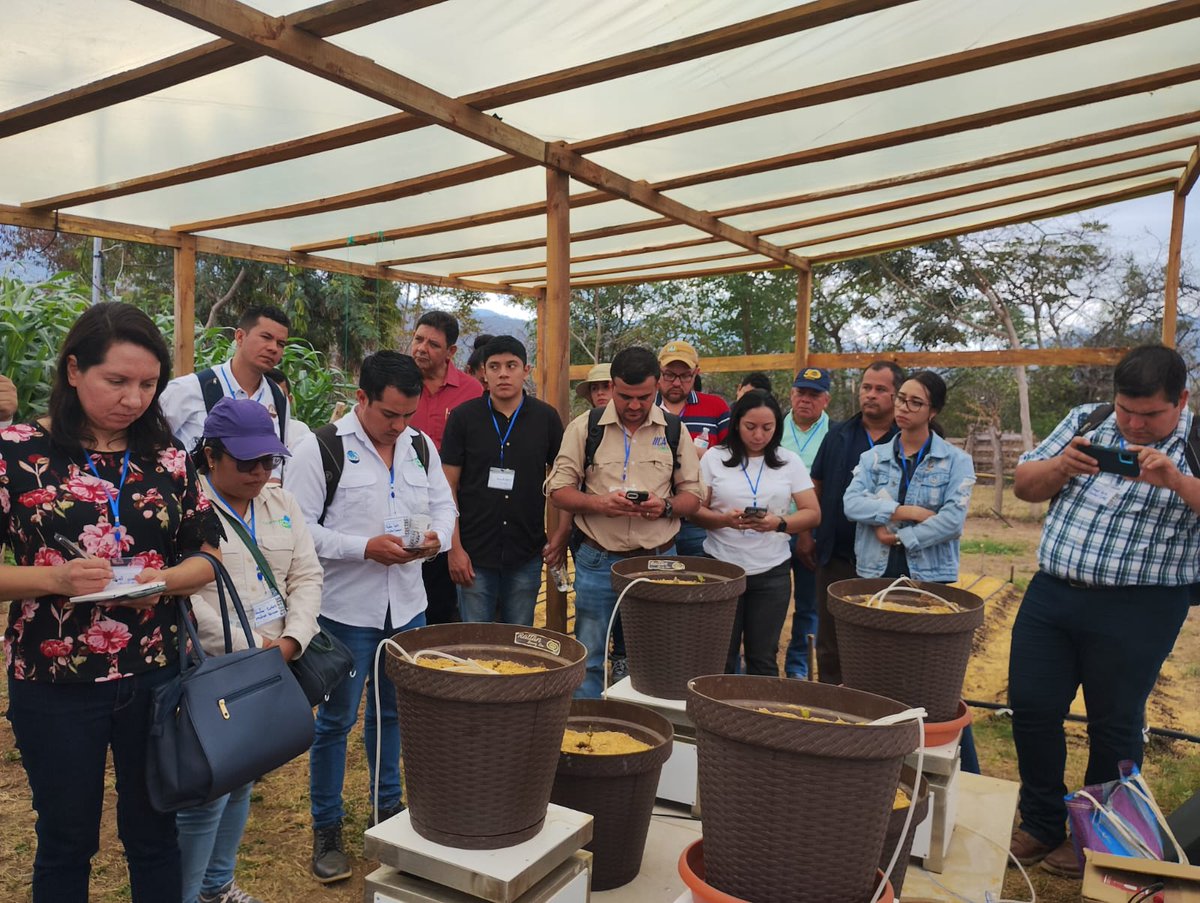 AgriLAC Resiliente tweet media