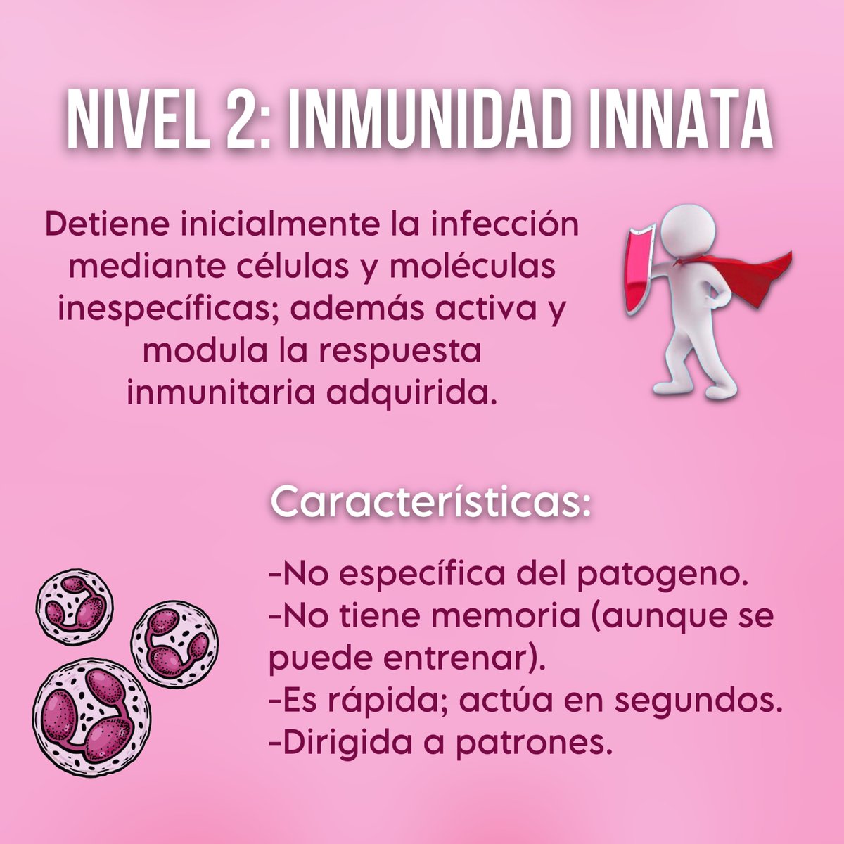 immunoslaying's tweet photo. ¡Hoy un contenido un poco más teórico! Pero sin entrar en mucho detalle, estas son los 3 niveles de defensa de nuestro sistema inmunitario. ¿Cuál te de mejores vibes? A mí la inmunidad adquirida 💋 #inmunomedia #inmunus #ylaquedivulgue https://t.co/prF697EJCQ