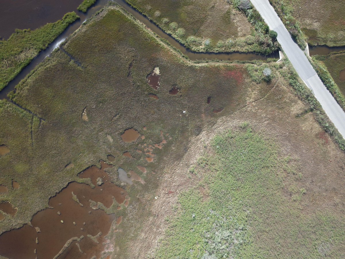 USGS National Uncrewed Systems Office (NUSO) tweet media