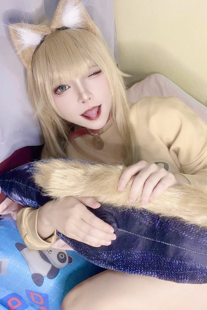 fieopapa's tweet photo. Kinako！🐈💕💕

#kinako #40hara #catlover #cosplay https://t.co/Mmi0LN2mIj
