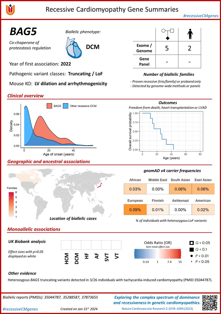 Genes with recessively inherited pathogenic variants are increasingly important in cardiomyopathies. Based on our recent meta-analysis in <a href="/NatureCVR/">Nature Cardiovascular Research</a> nature.com/articles/s4416… – the first in a series of gene synopses, focusing on the proteostasis regulator BAG5 #recessiveCMgenes