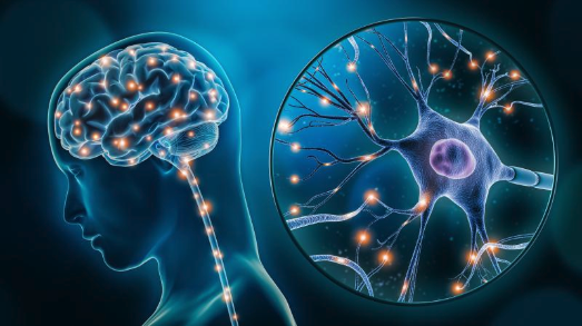 labs.lens.unifi.it/unveiling-the-…

Unveiling the intricacies of neural activity with the All-optical Electrophysiology