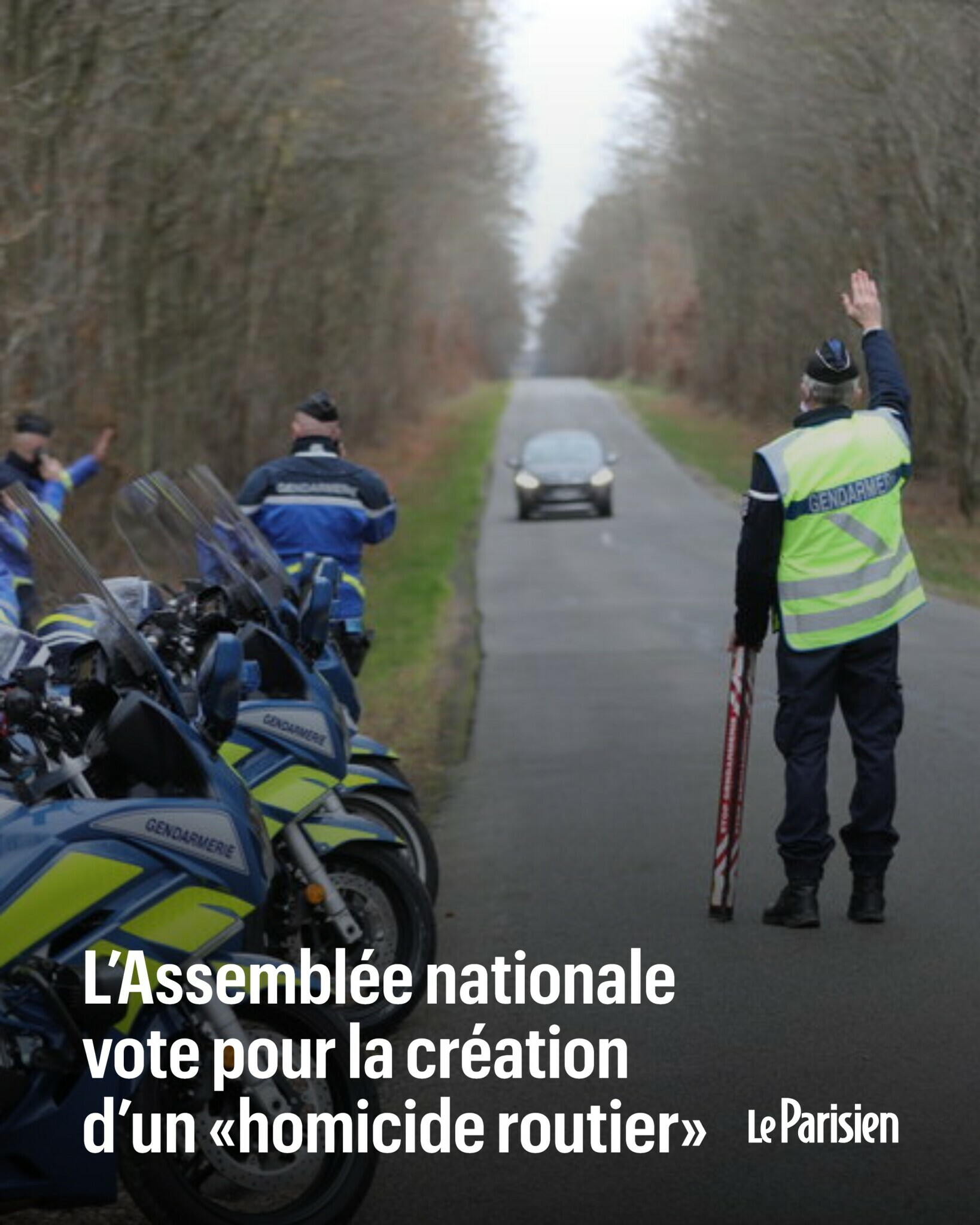 L'Assemblée nationale vote pour la création d'un « homicide