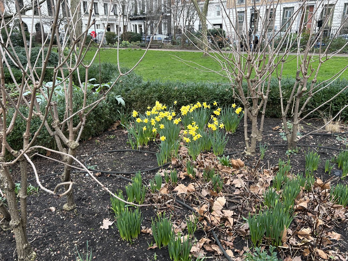 Tim Mitchell tweet media