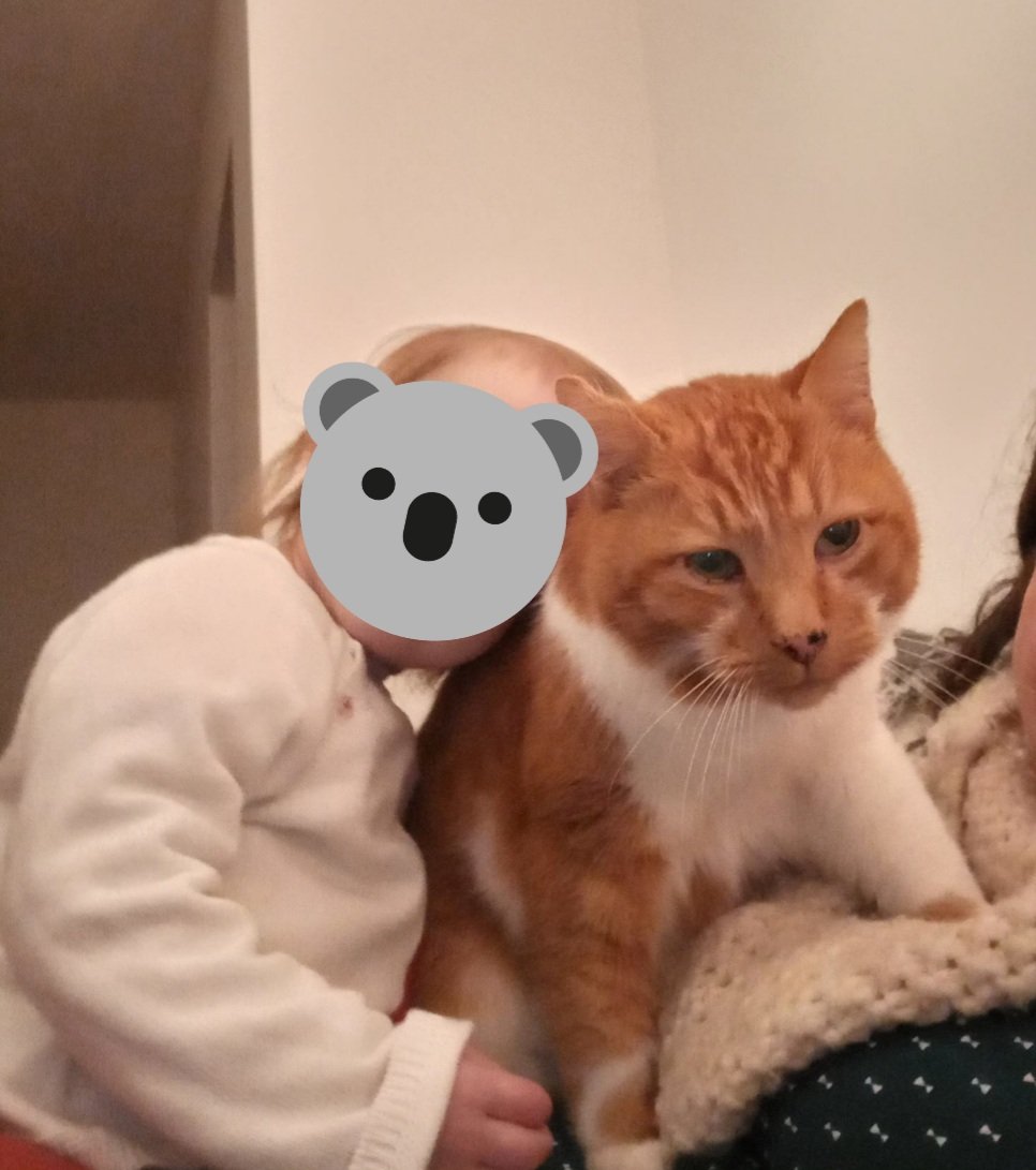 👑🐯🤍☃️🍋🧼🧡 Wallace le Gros aka Jean-Jacques tweet media