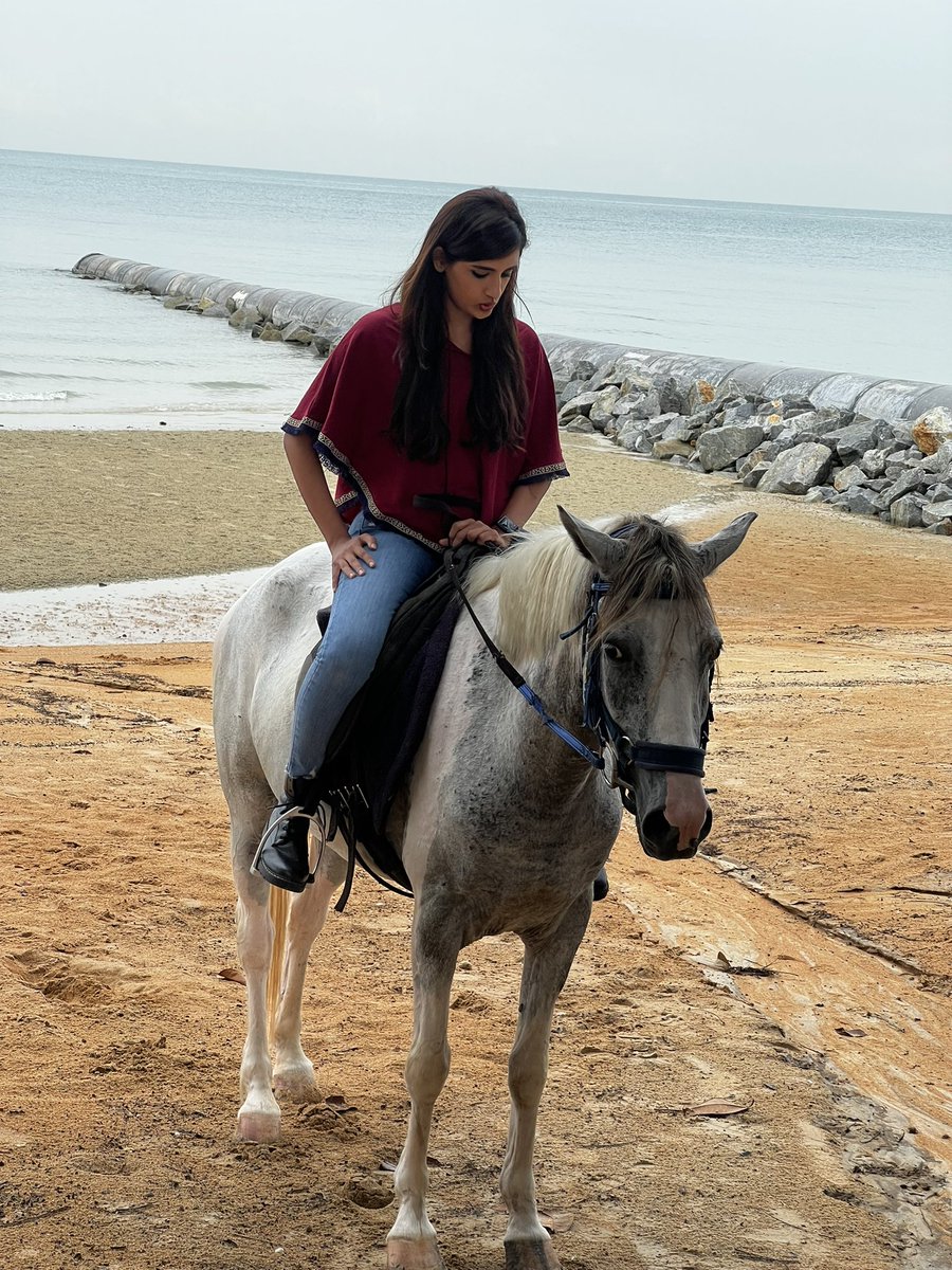 shiyniknees's tweet photo. ⛅️🌊🐴 https://t.co/10dAA9TXh1