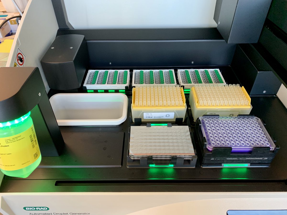 Phillips Lab @ USM (@usmphillipslab) on Twitter photo Recruiting a #PhD student to join my lab <a href="/USMArtsSciences/">USM Arts & Sciences</a>! Using novel #eDNA #ddPCR tools to assess the status & study #ecology of #RhinoRays to improve #conservation. Info in thread below ⬇️ #sawfish #wedgefish #guitarfish @eDNAcollab <a href="/SharkScience/">Shark Science</a> <a href="/usmconservbio/">@USMConservBio</a> <a href="/CMCBusm/">USM Center for Molecular and Cellular Biosciences</a> Recruiting a #PhD student to join my lab <a href="/USMArtsSciences/">USM Arts & Sciences</a>! Using novel #eDNA #ddPCR tools to assess the status & study #ecology of #RhinoRays to improve #conservation. Info in thread below ⬇️ #sawfish #wedgefish #guitarfish @eDNAcollab <a href="/SharkScience/">Shark Science</a> <a href="/usmconservbio/">@USMConservBio</a> <a href="/CMCBusm/">USM Center for Molecular and Cellular Biosciences</a>