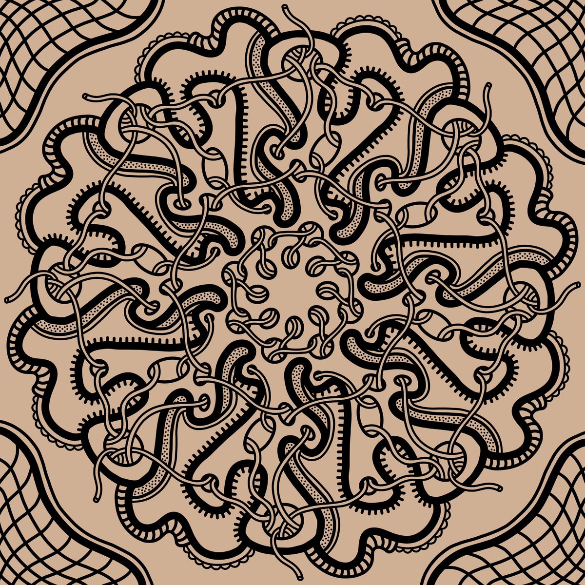 gm. Gm. GM! My entangled web3 fam. 🫶🏽