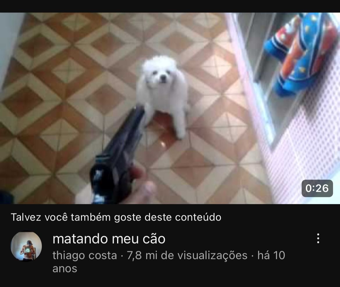 “Talvez você também goste deste conteúdo”