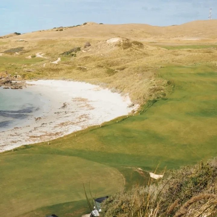 Ross Flannigan | G O L F | tweet media