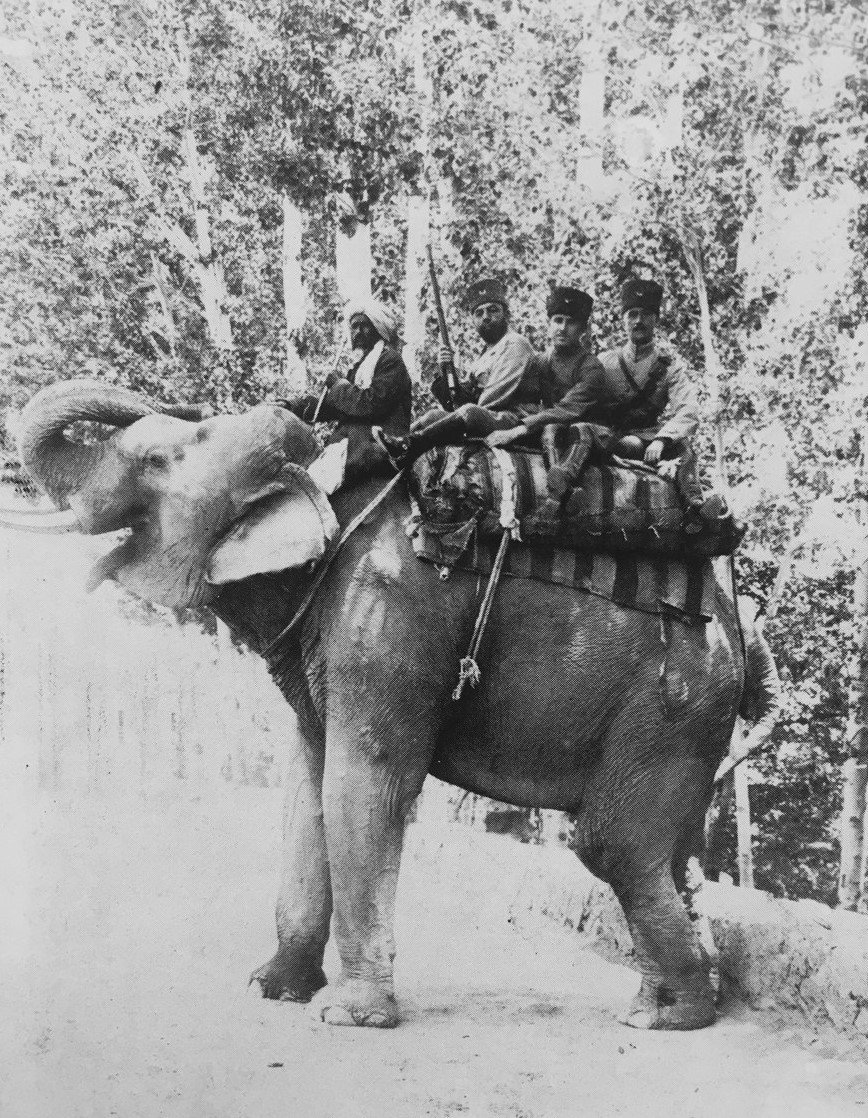 Cemal Paşa'nın ender fotoğraflarından biri. Paşa, yaverleri Süreyya ve İsmet Beyler ile Kabil'de, fil üstünde. Ağustos 1921.
