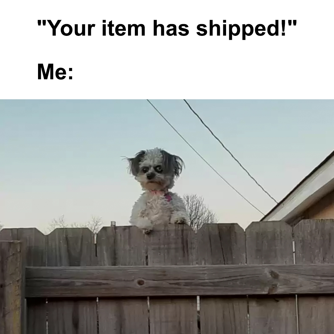 bhphoto's tweet image. *clicks place order* - is it here yet?
.
#photogear #videogear #bhphoto