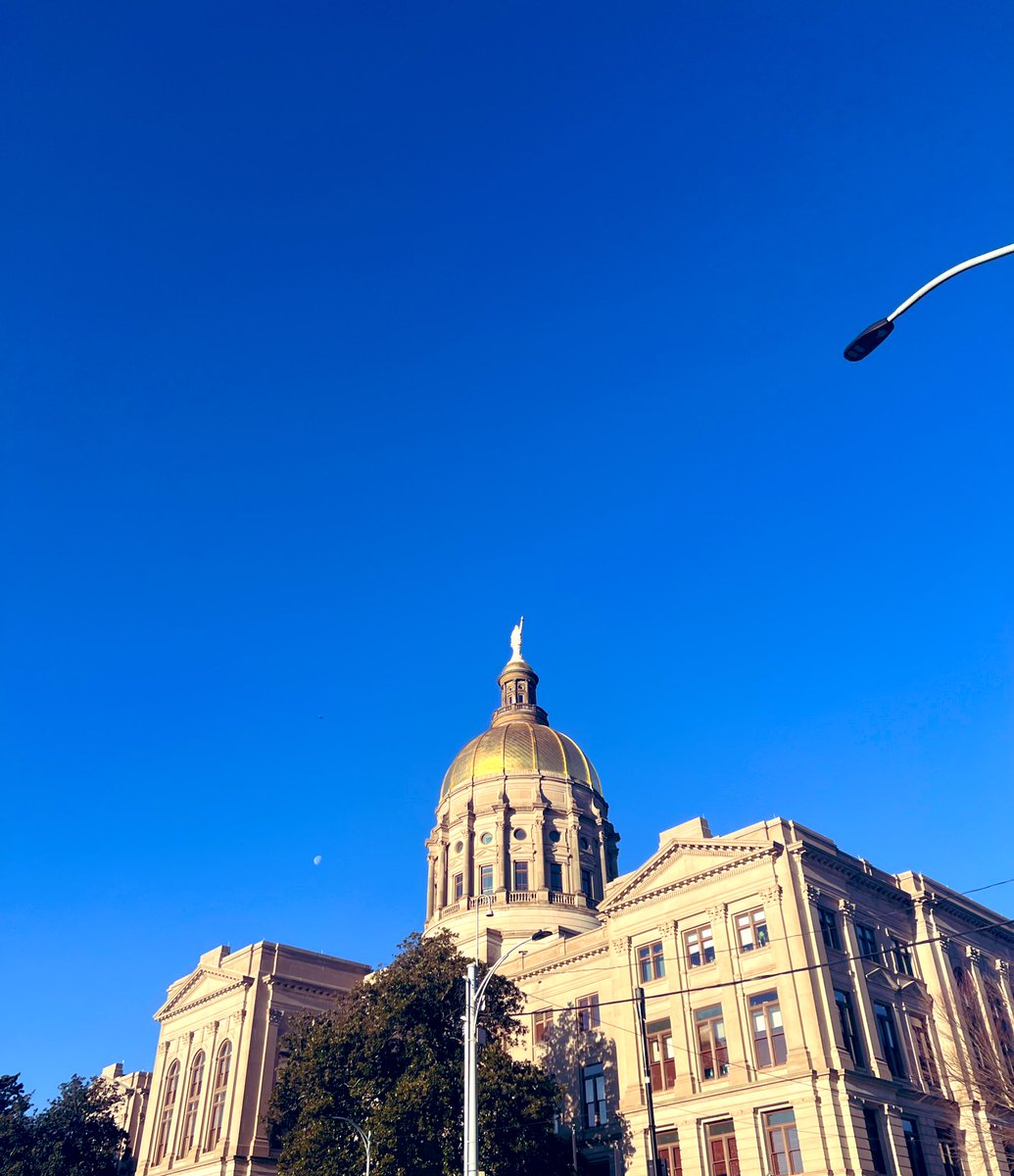 sarahwyman12's tweet image. beautiful day for advocating |#decodingdyslexia #gapol #dyslexiaday2024