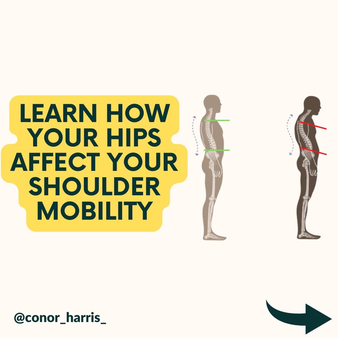 Conor_Harris_'s tweet image. Healthy shoulders are mobile shoulders.  

But 99% of people don’t realize your shoulder health is directly influenced by your hips.  

Everything in the body is connected.  

Here’s how + what you can do about it