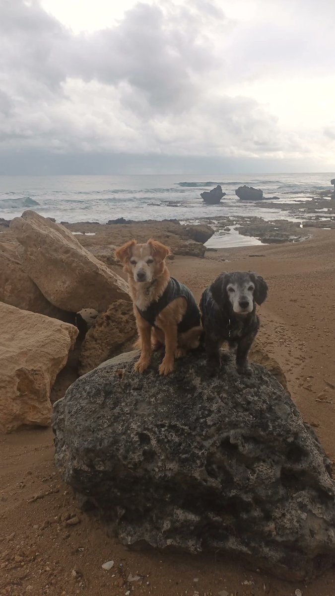 CyprusNina's tweet photo. Last of January morning walk pics https://t.co/UjJRrTwRN9