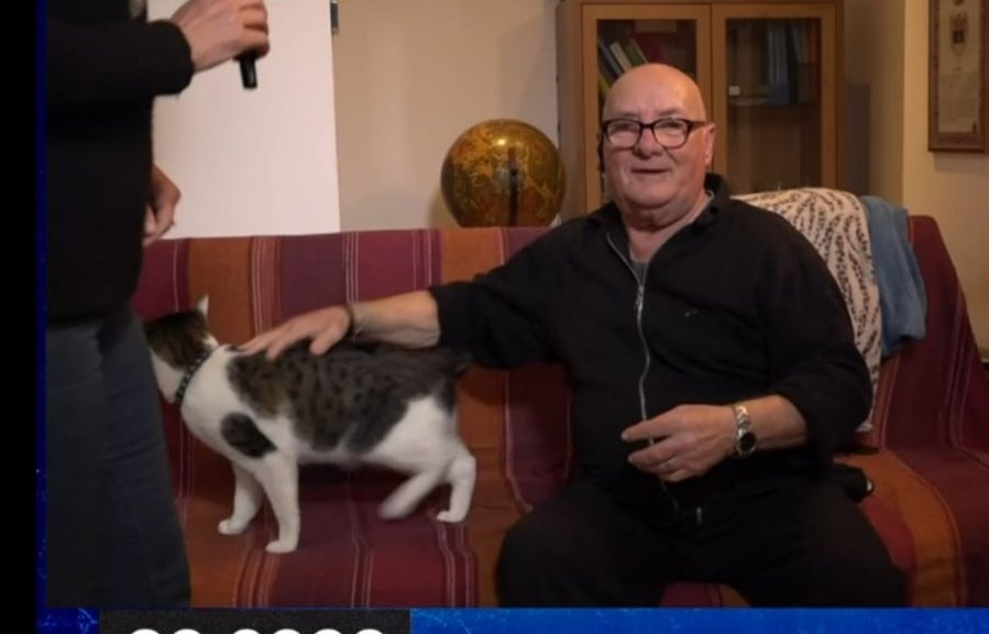 VolpeReal's tweet photo. Quando prendi il gatto e te lo metti vicino ma lui se ne va
#chilhavisto #fantachilhavisto https://t.co/w3TRfsbhNo