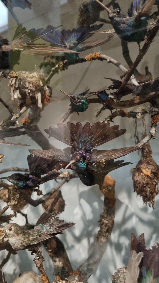 bazgrolki's tweet photo. Potem Natural History Museum... https://t.co/3QSRN1njqA