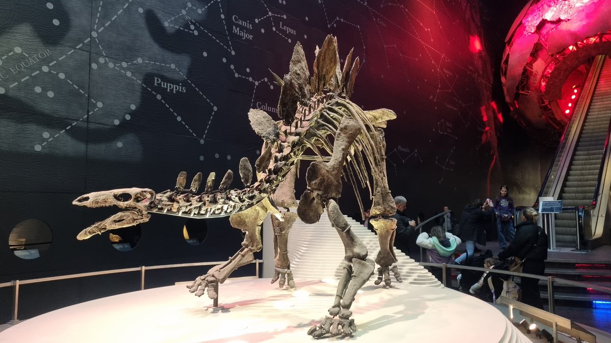 bazgrolki's tweet photo. Potem Natural History Museum... https://t.co/3QSRN1njqA