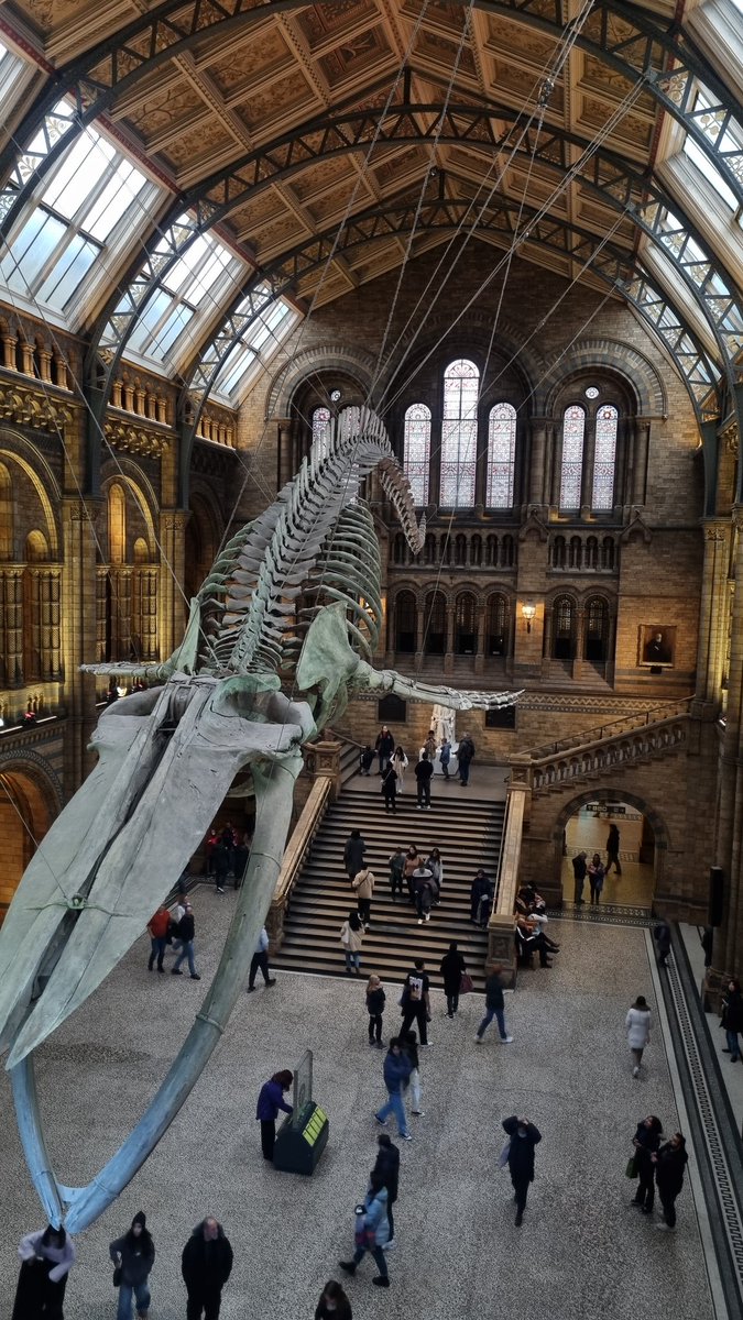 bazgrolki's tweet photo. Potem Natural History Museum... https://t.co/3QSRN1njqA