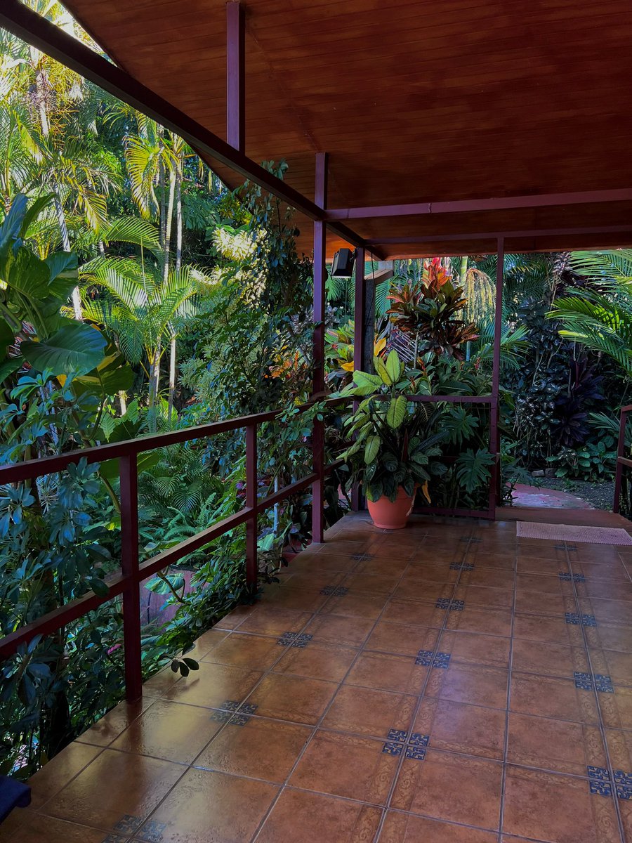 Jhanakaruna's tweet photo. costa rica is a dream. https://t.co/esHP2usSG2