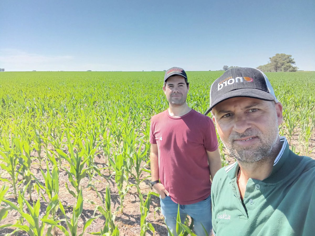 NicolasSeoane7's tweet photo. Recorrida de Lotes por Zona de Ing Luiggi y Parera - La pampa junto a nuestro distribuidor @ALZ_Agro @semillasnord La Lujan SA. 

#AcruxPWE #RFG22RR y #RFG22RE 

Fechas de siembra Tardías y Tempranas. https://t.co/Bzdc3ywQq1